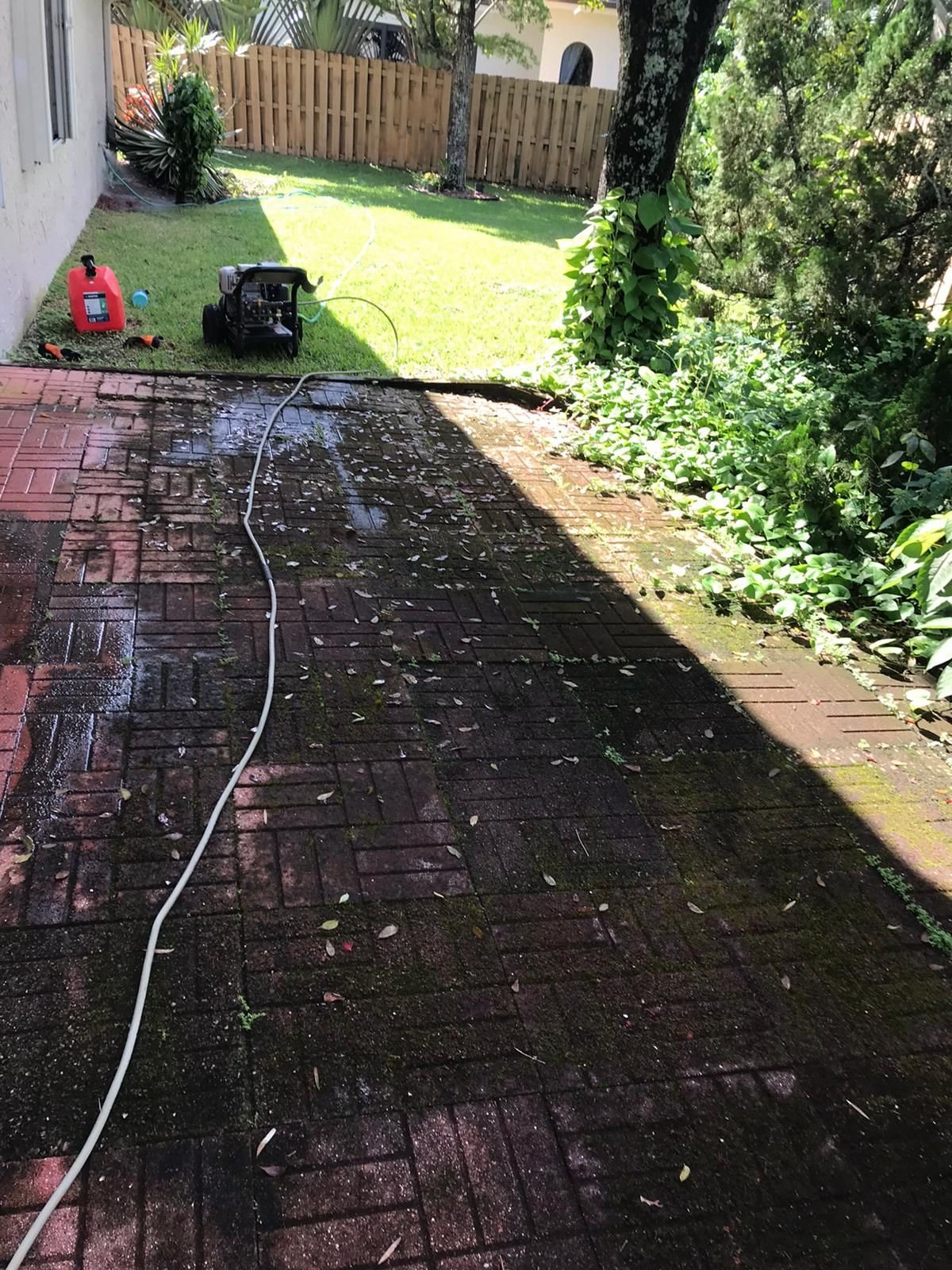 Algae regrowth on a South Florida exterior surface