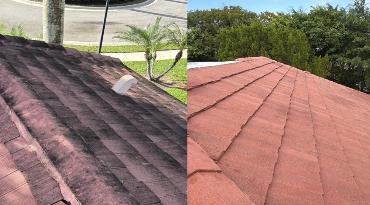 Roof soft wash result